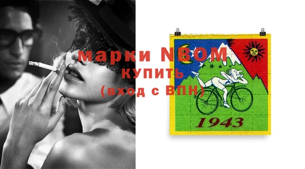 хмурый Арсеньев