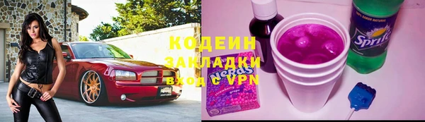 хмурый Арсеньев