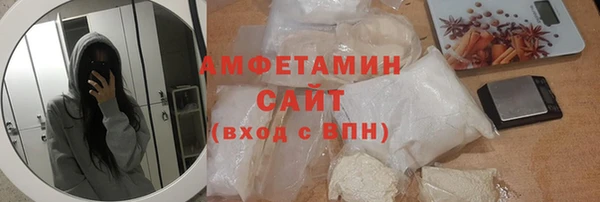 хмурый Арсеньев