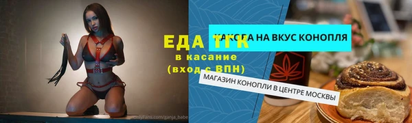 хмурый Арсеньев