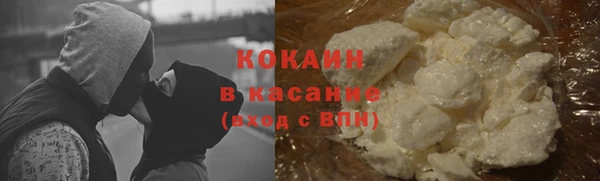 хмурый Арсеньев
