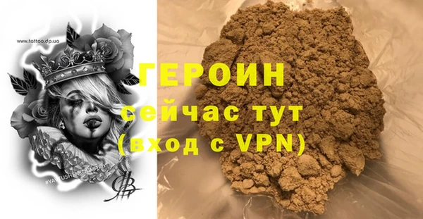 хмурый Арсеньев