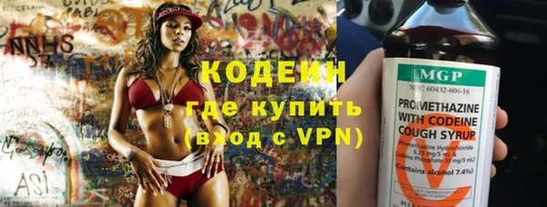 хмурый Арсеньев